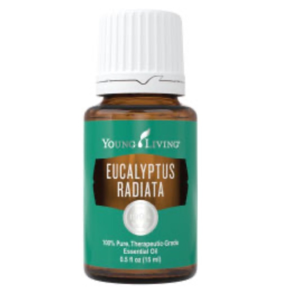 Eucalyptus Radiata Young Living Essential Oil 15ml